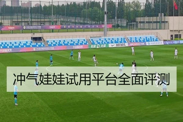 冲气娃娃试用平台全面评测