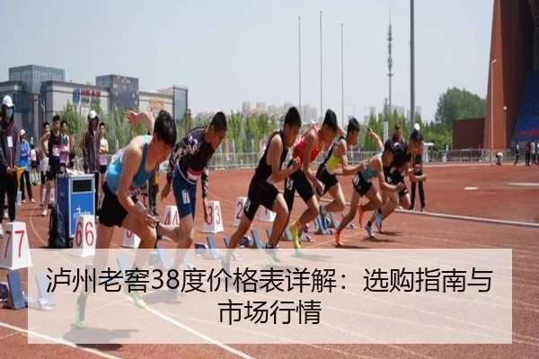 泸州老窖38度价格表详解：选购指南与市场行情