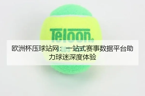 欧洲杯压球站网：一站式赛事数据平台助力球迷深度体验